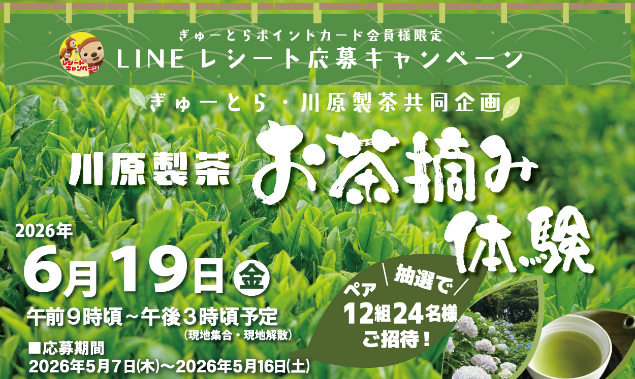 川原製茶様　お茶摘み体験応募キャンペーンのご案内
